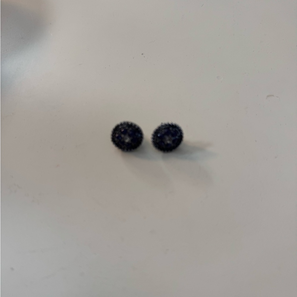 Elegant Blue Stud Earrings